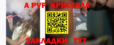 молекула духа Камышлов