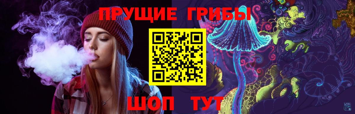 Кызыл  Галлюциногенные грибы прущие грибы  Вход с VPN  Псилоцибиновые грибы GOLDEN TEACHER 